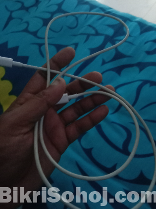 Apple Charger + Cable